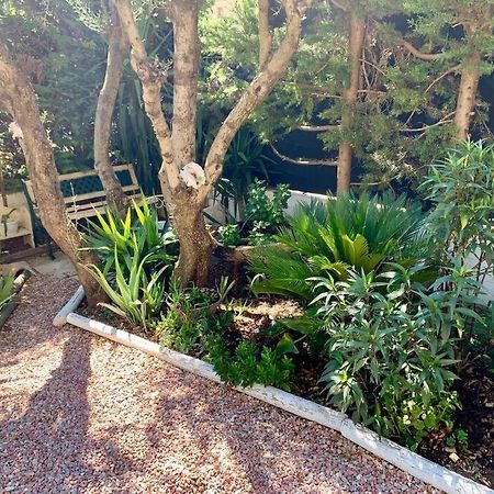Charmante Villa Avec Une Ame. Pignan Exterior foto
